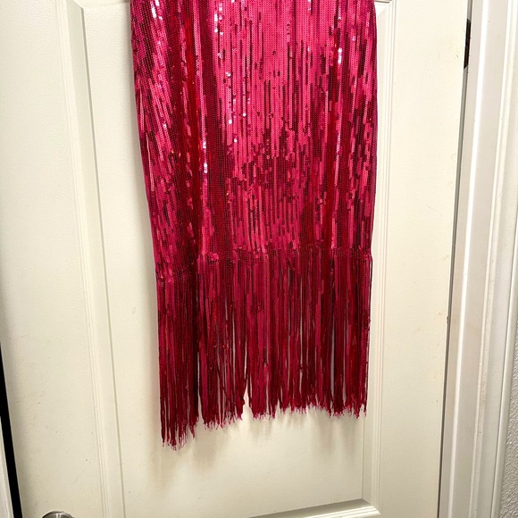 Rachel Zoe hot pink/raspberry “Bra” top and fring skirt. - Picture 3 of 10